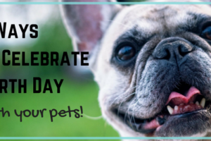 9 Ways to Celebrate Earth Day With Your Pets