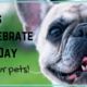 9 Ways to Celebrate Earth Day With Your Pets